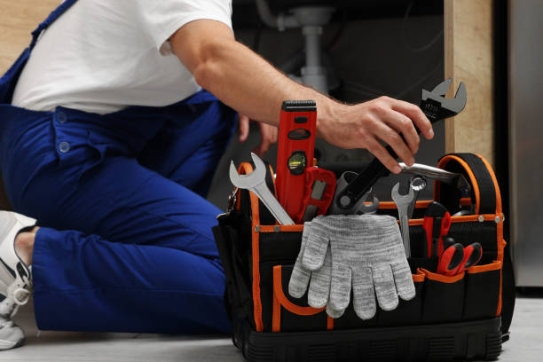 Best Clogged Drain Plumber  in Shoemakersville, PA
